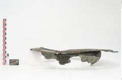 Foto von Bronzebreitrandschale (NHMW-PRAE-024910)